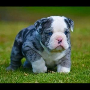 Meet your Posher, Alberto